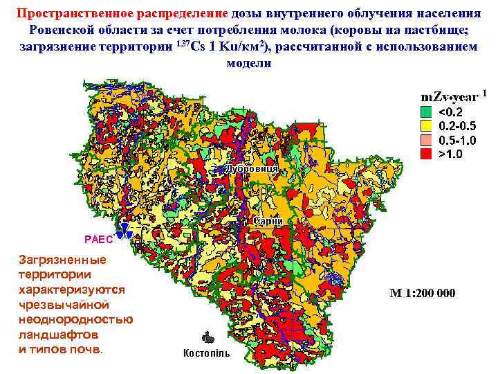 Пространственное распределение дозы внутреннего облучения населения Ровенской области за счет потребления молока (коровы на