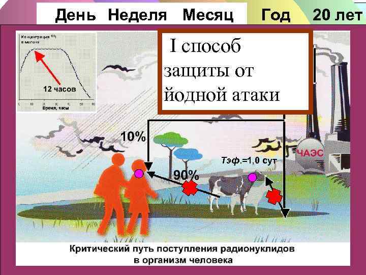 День Неделя Месяц Год I способ защиты от йодной атаки Тэф. =1, 0 сут