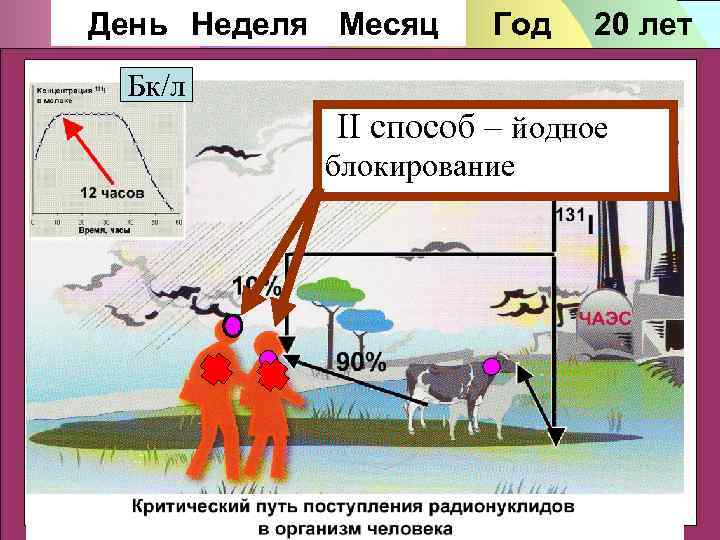 День Неделя Месяц Год 20 лет Бк/л II способ – йодное блокирование 