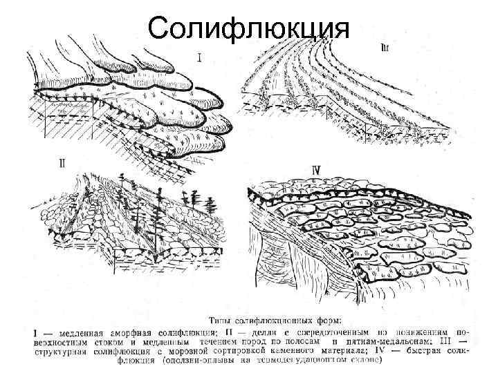Солифлюкция 
