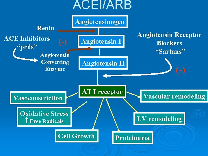 ACEI/ARB Renin ACE Inhibitors (-) “prils” Angiotensin Converting Enzyme Vasoconstriction Angiotensinogen Angiotensin I Angiotensin