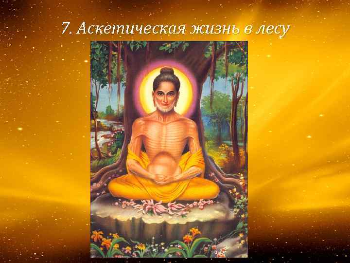  7. Аскетическая жизнь в лесу 