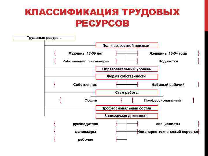 КЛАССИФИКАЦИЯ ТРУДОВЫХ РЕСУРСОВ 