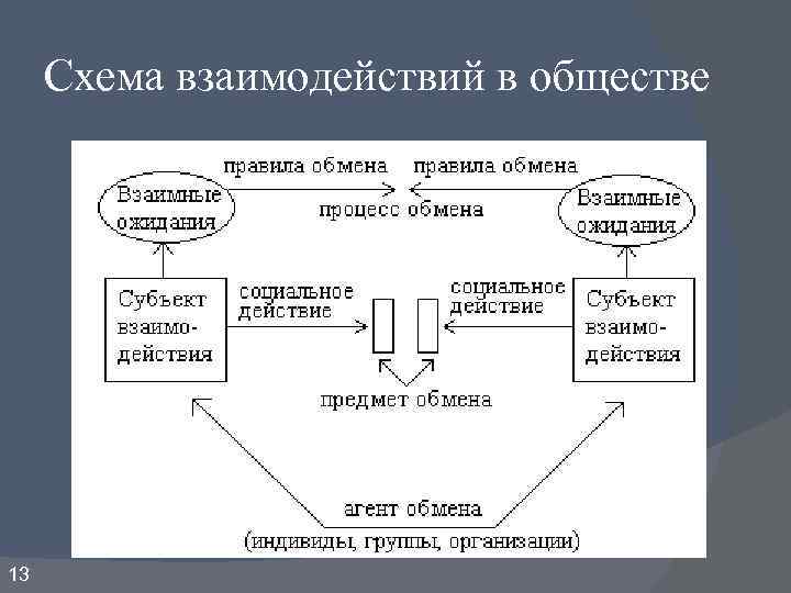 Общество схема