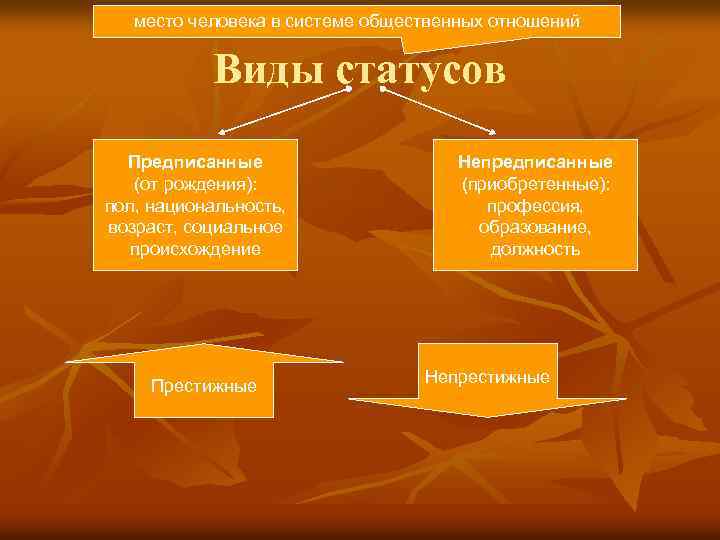 место человека в системе общественных отношений Виды статусов Предписанные (от рождения): пол, национальность, возраст,