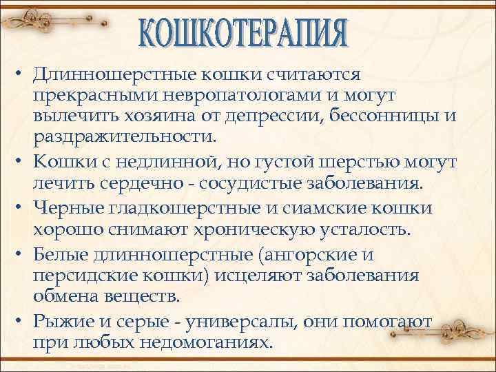  • Длинношерстные кошки считаются прекрасными невропатологами и могут вылечить хозяина от депрессии, бессонницы