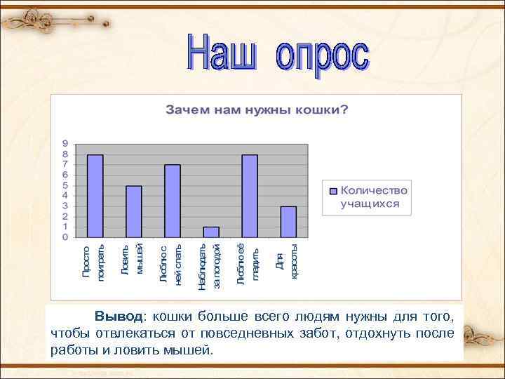 Вывод: кошки больше всего людям нужны для того, чтобы отвлекаться от повседневных забот, отдохнуть