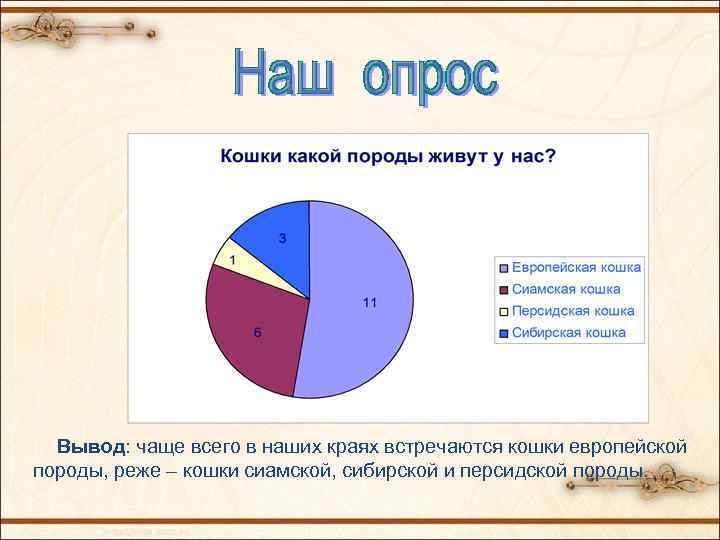 Вывод: чаще всего в наших краях встречаются кошки европейской породы, реже – кошки сиамской,