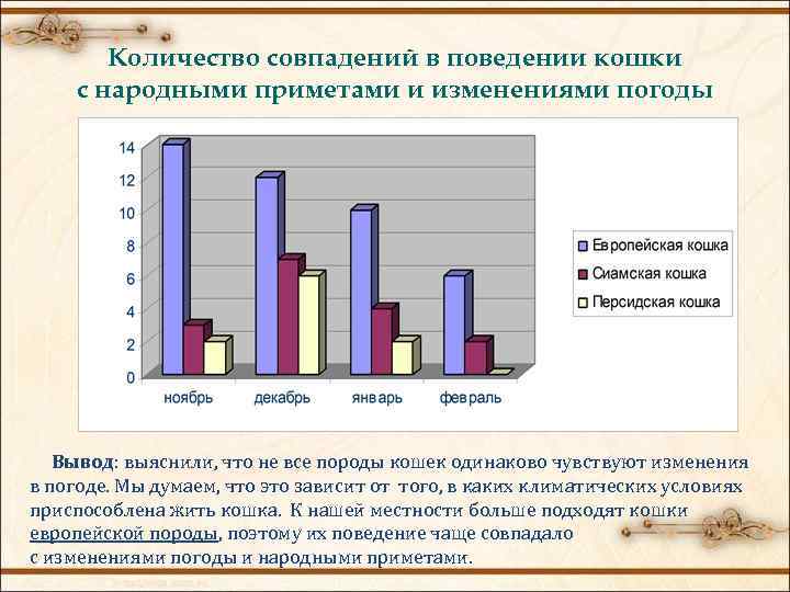 Количество совпадений в поведении кошки с народными приметами и изменениями погоды Вывод: выяснили, что