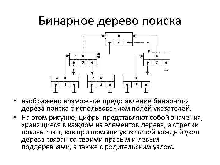 Бинарное дерево поиска • изображено возможное представление бинарного дерева поиска с использованием полей указателей.