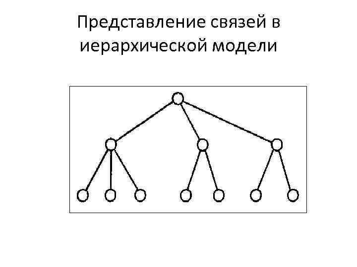 Иерархическое представление. Иерархическая модель данных схема. Иерархическую схему «классы программ».. Преобразование концептуальной модели в иерархическую модель данных. Иерархическая модель родословной.