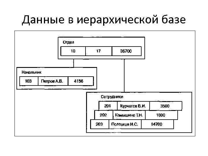 Данные в иерархической базе 