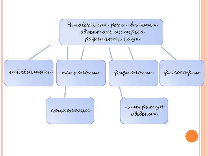 Человеческая речь является объектом интереса различных наук лингвистики психологии социологии физиологии литератур оведения философии