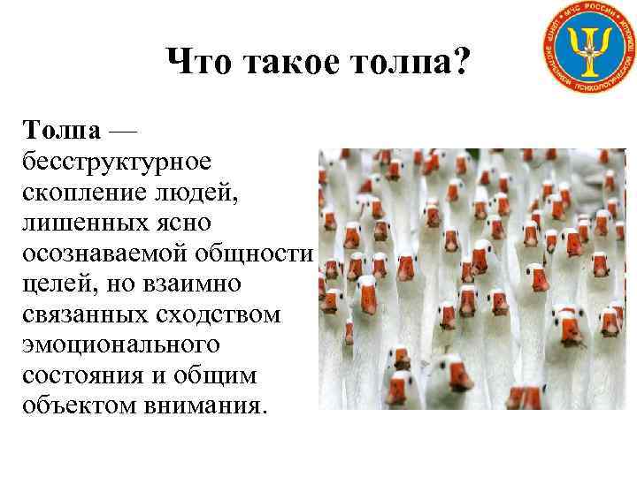 Что такое толпа? Толпа — бесструктурное скопление людей, лишенных ясно осознаваемой общности целей, но