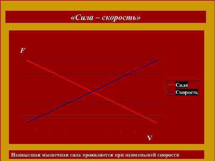  «Сила – скорость» F V Наивысшая мышечная сила проявляется при наименьшей скоростивижения 