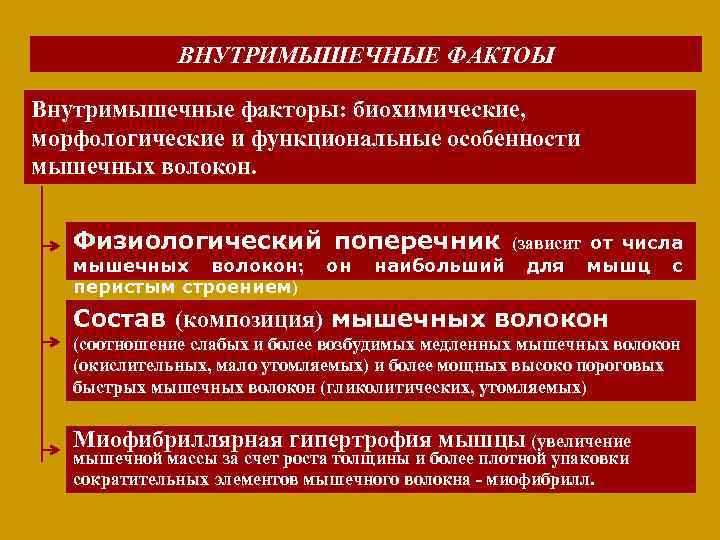 ВНУТРИМЫШЕЧНЫЕ ФАКТОЫ Внутримышечные факторы: биохимические, морфологические и функциональные особенности мышечных волокон. Физиологический поперечник мышечных