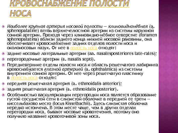 КРОВОСНАБЖЕНИЕ ПОЛОСТИ НОСА Наиболее крупная артерия носовой полости — клиновиднонёбная (a. sphenopalatine) ветвь верхнечелюстной