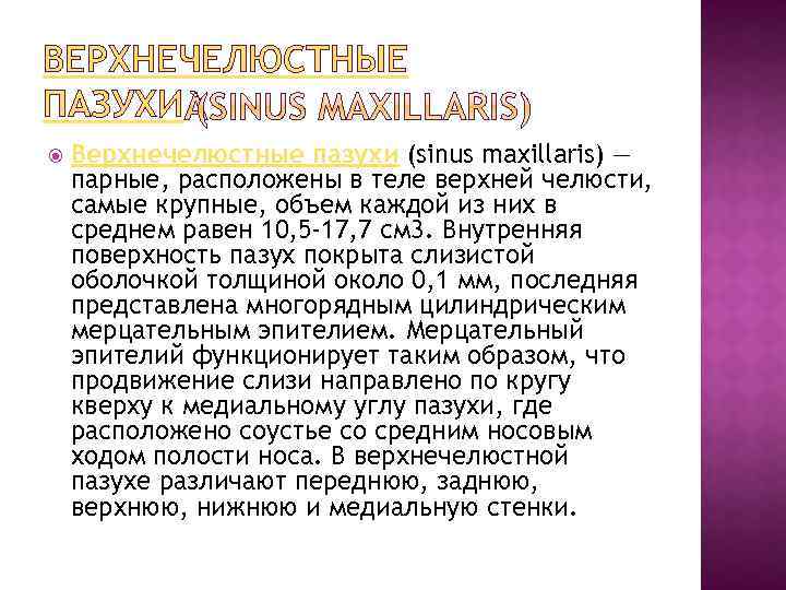 ВЕРХНЕЧЕЛЮСТНЫЕ ПАЗУХИ Верхнечелюстные пазухи (sinus maxillaris) — парные, расположены в теле верхней челюсти, самые