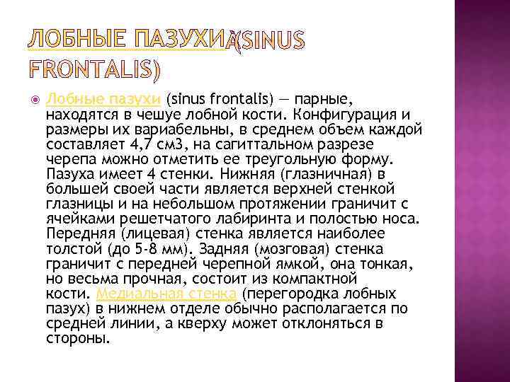 ЛОБНЫЕ ПАЗУХИ Лобные пазухи (sinus frontalis) — парные, находятся в чешуе лобной кости. Конфигурация