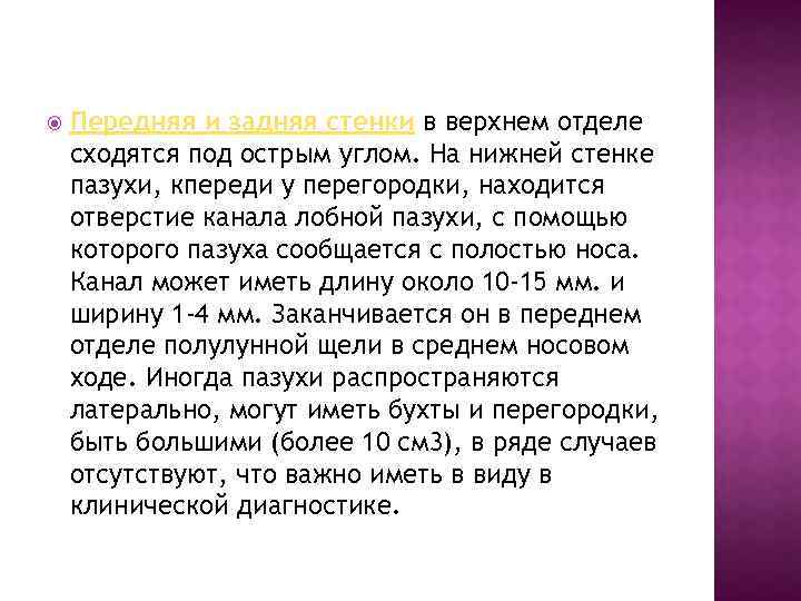  Передняя и задняя стенки в верхнем отделе сходятся под острым углом. На нижней