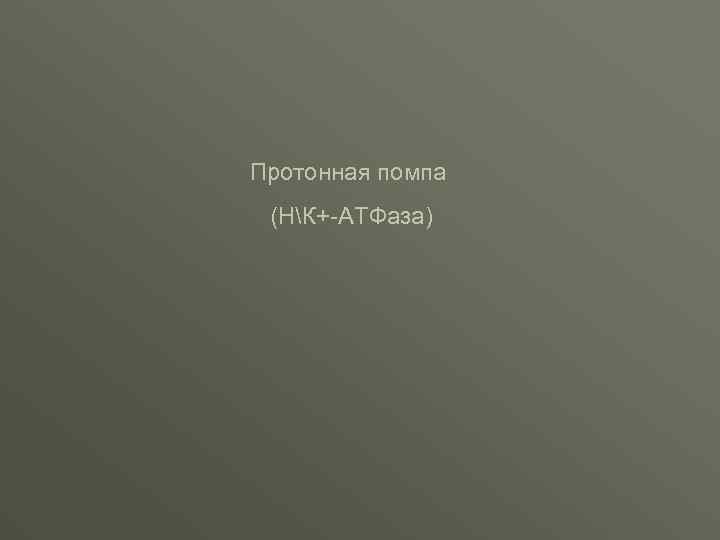 Протонная помпа (НК+-АТФаза) 