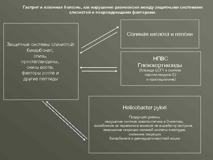 Гастрит и язвенная болезнь, как нарушение равновесия между защитными системами слизистой и повреждающими факторами.