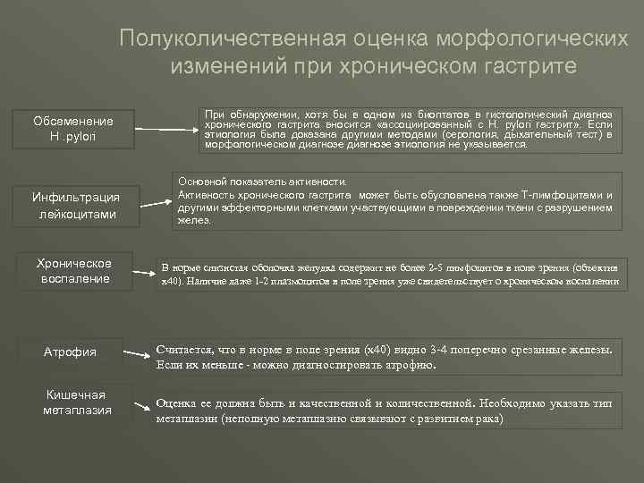 Полуколичественная оценка морфологических изменений при хроническом гастрите Обсеменение Н. pylori Инфильтрация лейкоцитами Хроническое воспаление