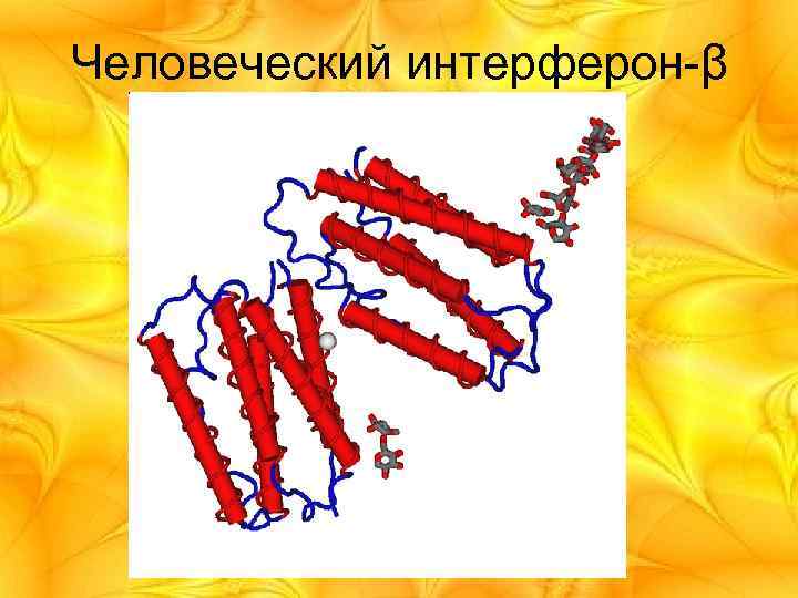 Человеческий интерферон-β 