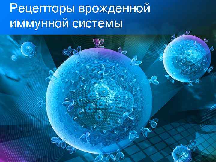 Рецепторы врожденной иммунной системы 