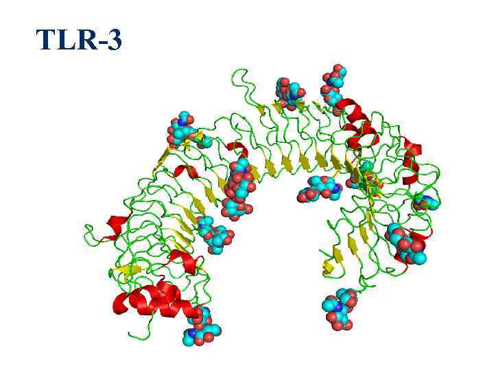 TLR-3 