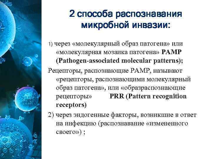 2 способа распознавания микробной инвазии: 1) через «молекулярный образ патогена» или «молекулярная мозаика патогена»