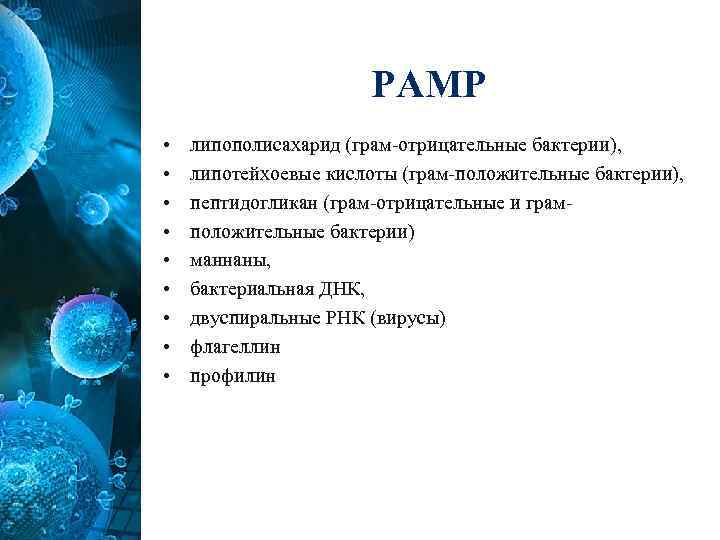 РАМР • • • липополисахарид (грам-отрицательные бактерии), липотейхоевые кислоты (грам-положительные бактерии), пептидогликан (грам-отрицательные и