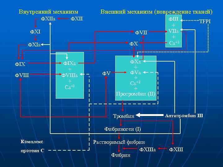Внутренний механизм ФXIIa Внешний механизм (повреждение тканей) ФXII ФIII ФXI ФVII ФX ФXIa ФIX