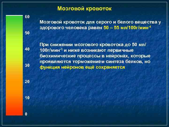 Мозговой кровоток 60 Мозговой кровоток для серого и белого вещества у здорового человека равен
