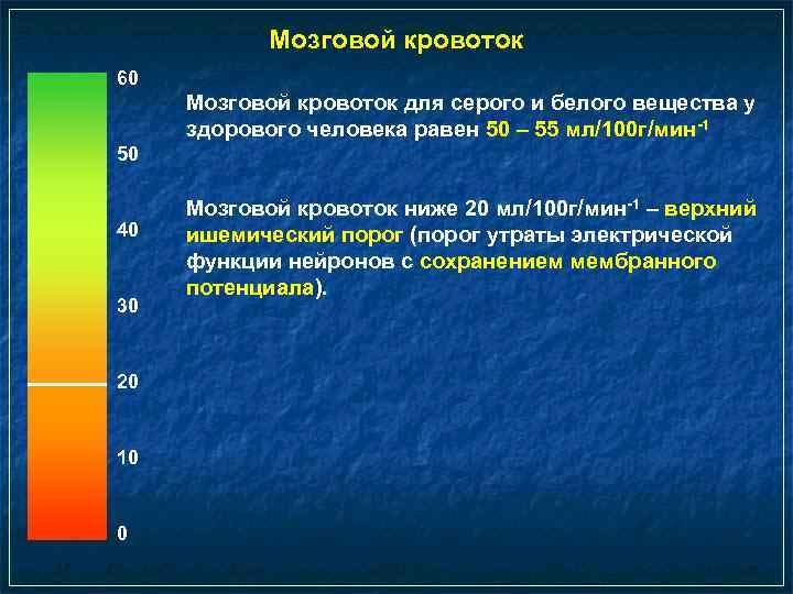 Мозговой кровоток 60 Мозговой кровоток для серого и белого вещества у здорового человека равен