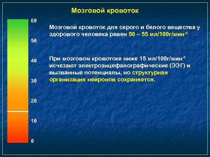 Мозговой кровоток 60 Мозговой кровоток для серого и белого вещества у здорового человека равен
