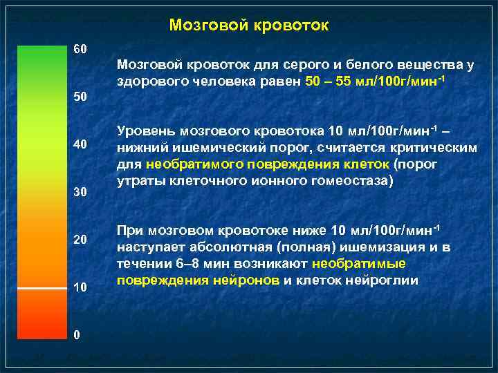 Мозговой кровоток 60 Мозговой кровоток для серого и белого вещества у здорового человека равен