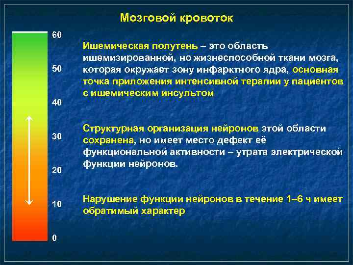 Мозговой кровоток 60 50 40 30 20 10 0 Ишемическая полутень – это область