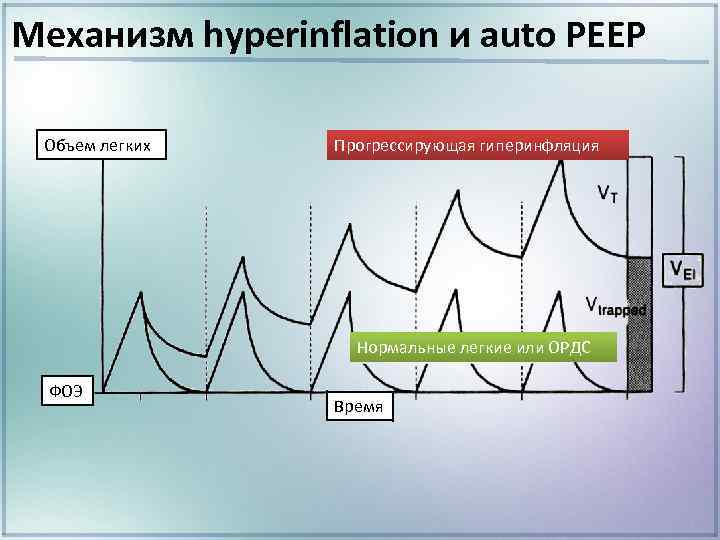 Механизм hyperinflation и auto РЕЕР Объем легких Прогрессирующая гиперинфляция Нормальные легкие или ОРДС ФОЭ