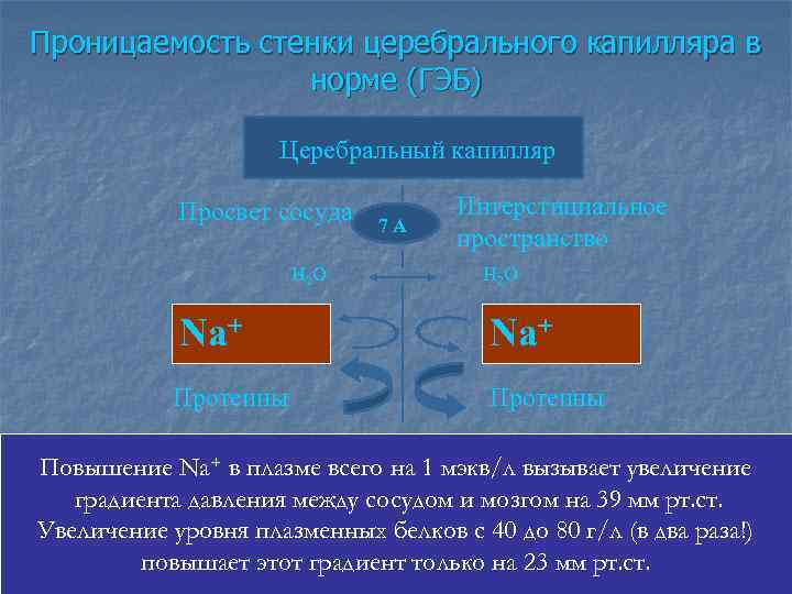 Проницаемость стенки церебрального капилляра в норме (ГЭБ) Церебральный капилляр Просвет сосуда 7 А Н