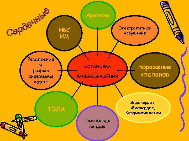 Аритмии Электролитные нарушение ИБС ИМ Расслоение и разрыв аневризмы аорты ОСТАНОВКА КРОВООБРАЩЕНИЯ поражение клапанов