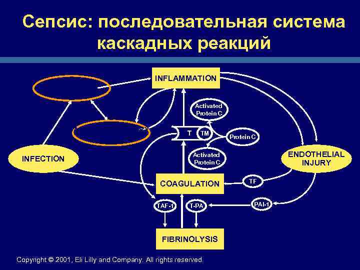 Сепсис: последовательная система каскадных реакций PROINFLAMMATORY MEDIATORS INFLAMMATION Activated Protein C ANTI-INFLAMMATORY T MEDIATORS