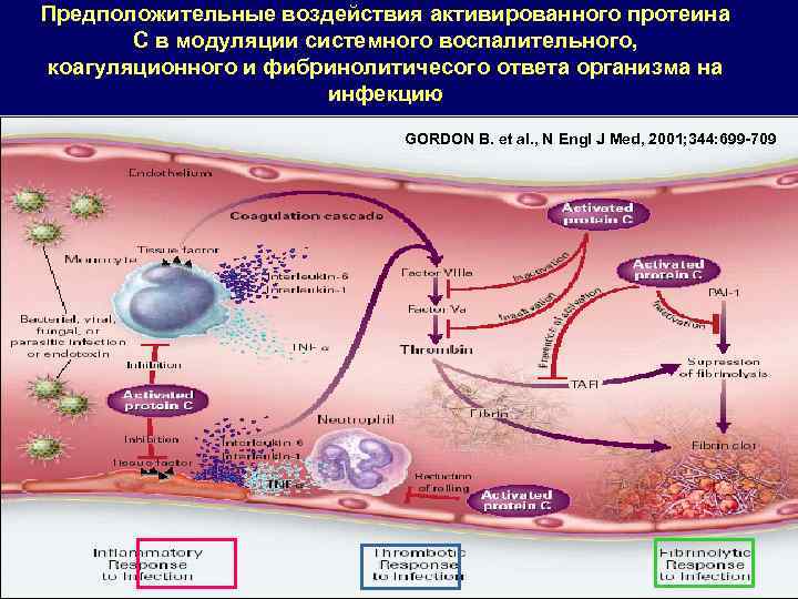 Предположительные воздействия активированного протеина C в мoдуляции системного воспалительного, коагуляционного и фибринолитичесого ответа организма