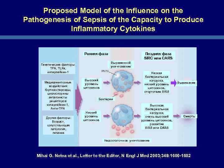 Proposed Model of the Influence on the Pathogenesis of Sepsis of the Capacity to
