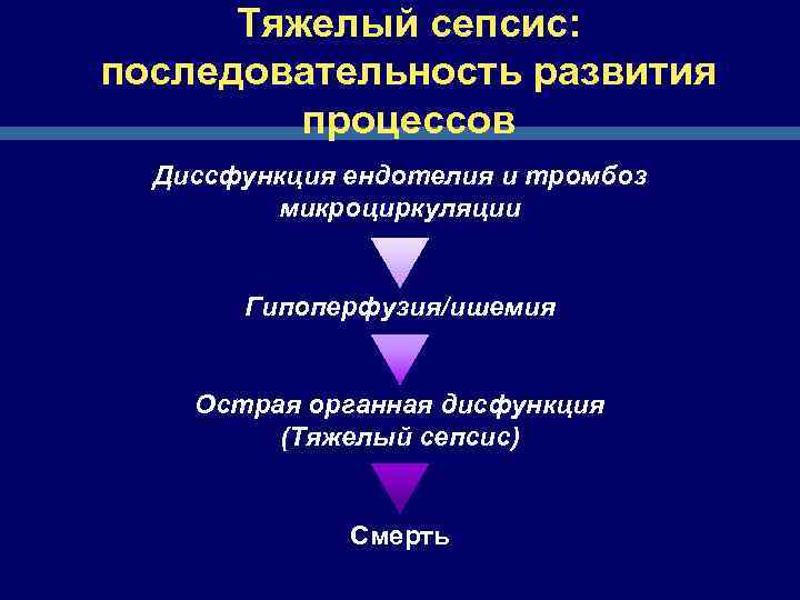 Тяжелый сепсис: последовательность развития процессов Диссфункция ендотелия и тромбоз микроциркуляции Гипоперфузия/ишемия Острая органная дисфункция