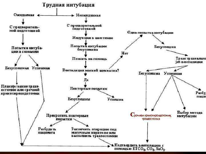 Срочная крикотироидотомия, , крикотироидотомия трахеостомия 
