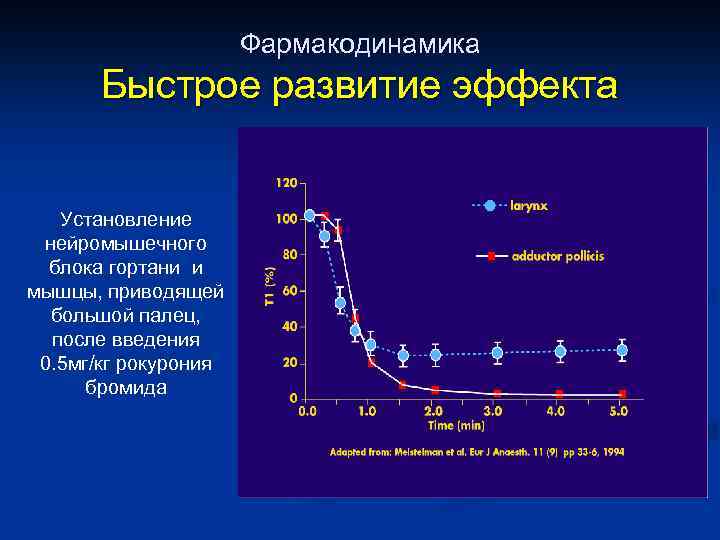 Фармакодинамика Быстрое развитие эффекта Установление нейромышечного блока гортани и мышцы, приводящей большой палец, после