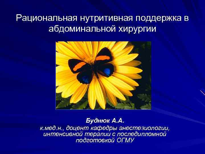 Рациональная нутритивная поддержка в абдоминальной хирургии Буднюк А. А. к. мед. н. , доцент