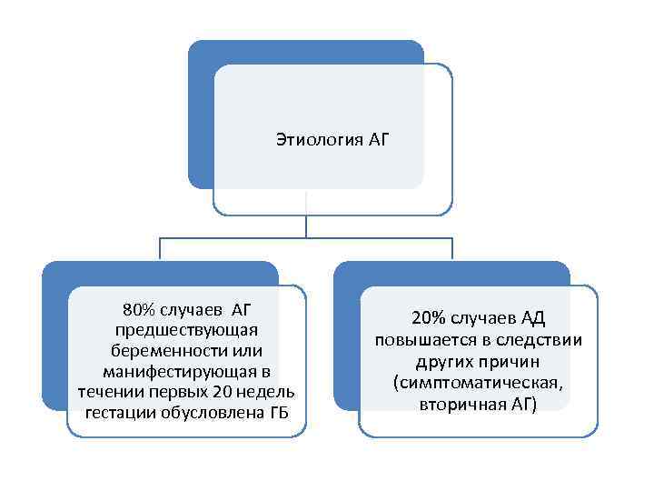 Этиология АГ 80% случаев АГ предшествующая беременности или манифестирующая в течении первых 20 недель