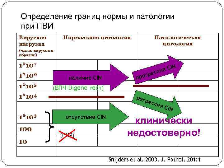 Определение границ нормы и патологии при ПВИ Вирусная нагрузка Нормальная цитология Патологическая цитология (число